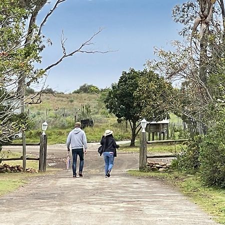 Zuurberg Mountain Village Addo Ngoại thất bức ảnh