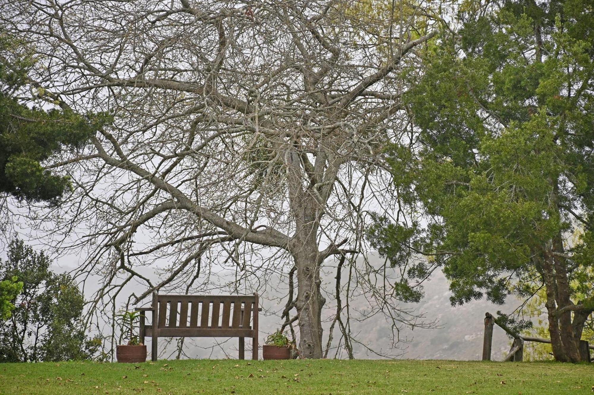 Zuurberg Mountain Village Addo Ngoại thất bức ảnh